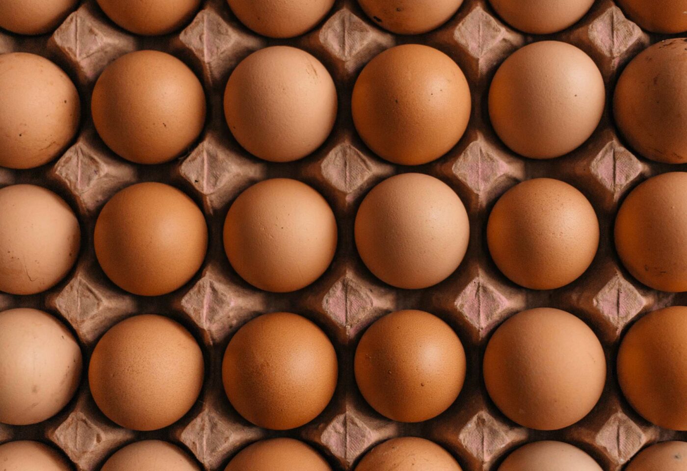 North America Brief – Issue 5 – Smuggling eggs, U.S. turns to Canadian uranium, violating FTAs